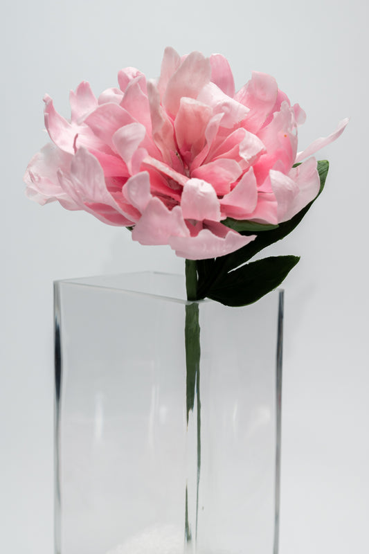 Pivoine