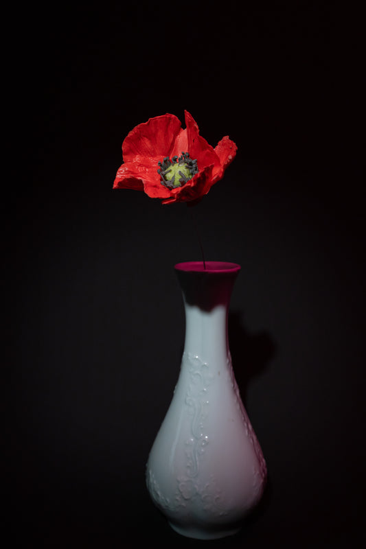 Coquelicot