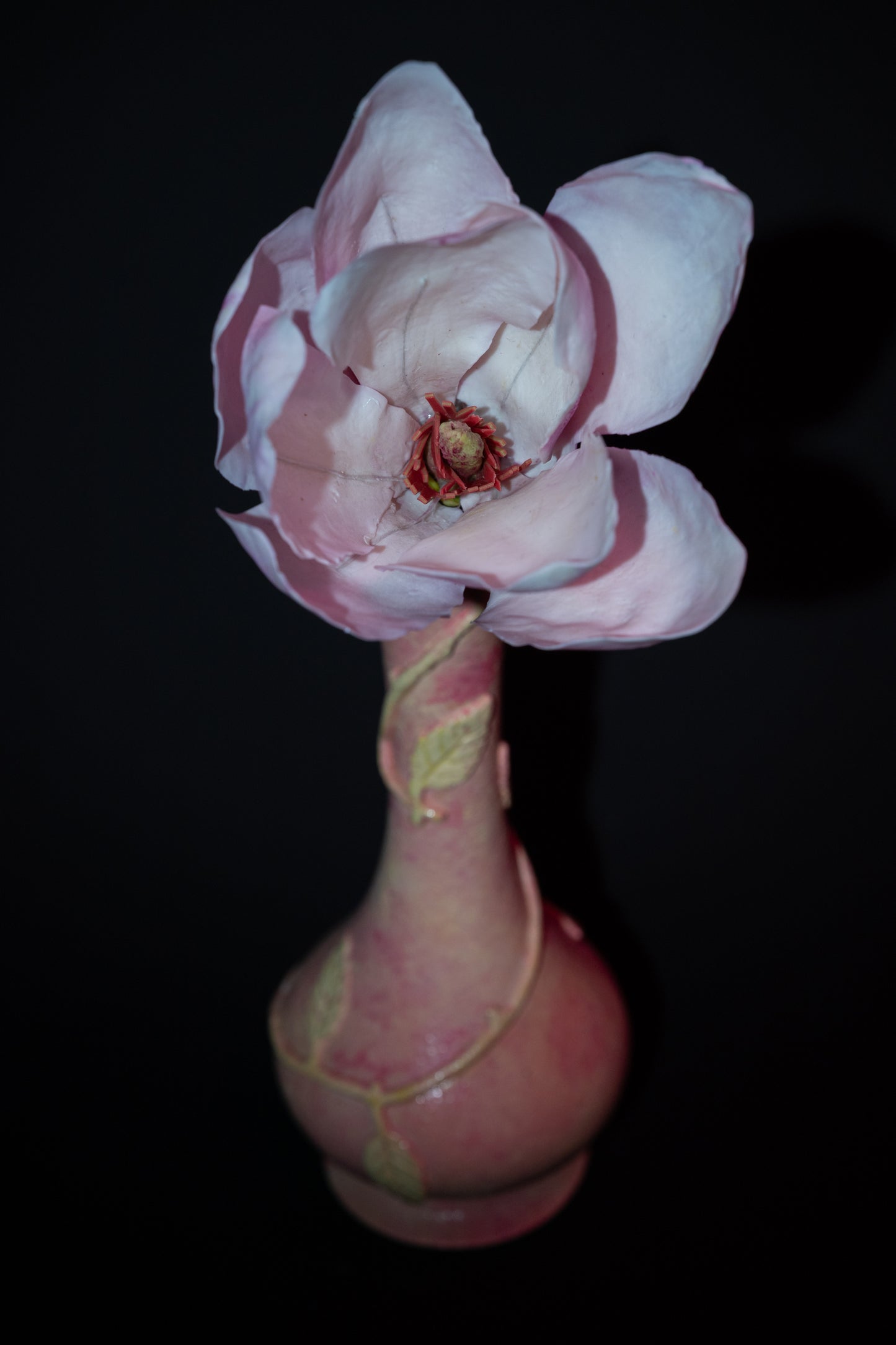 Magnolia