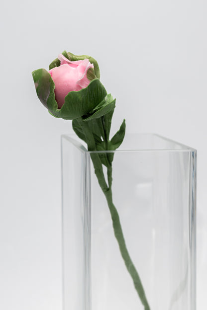 Pivoine en bouton