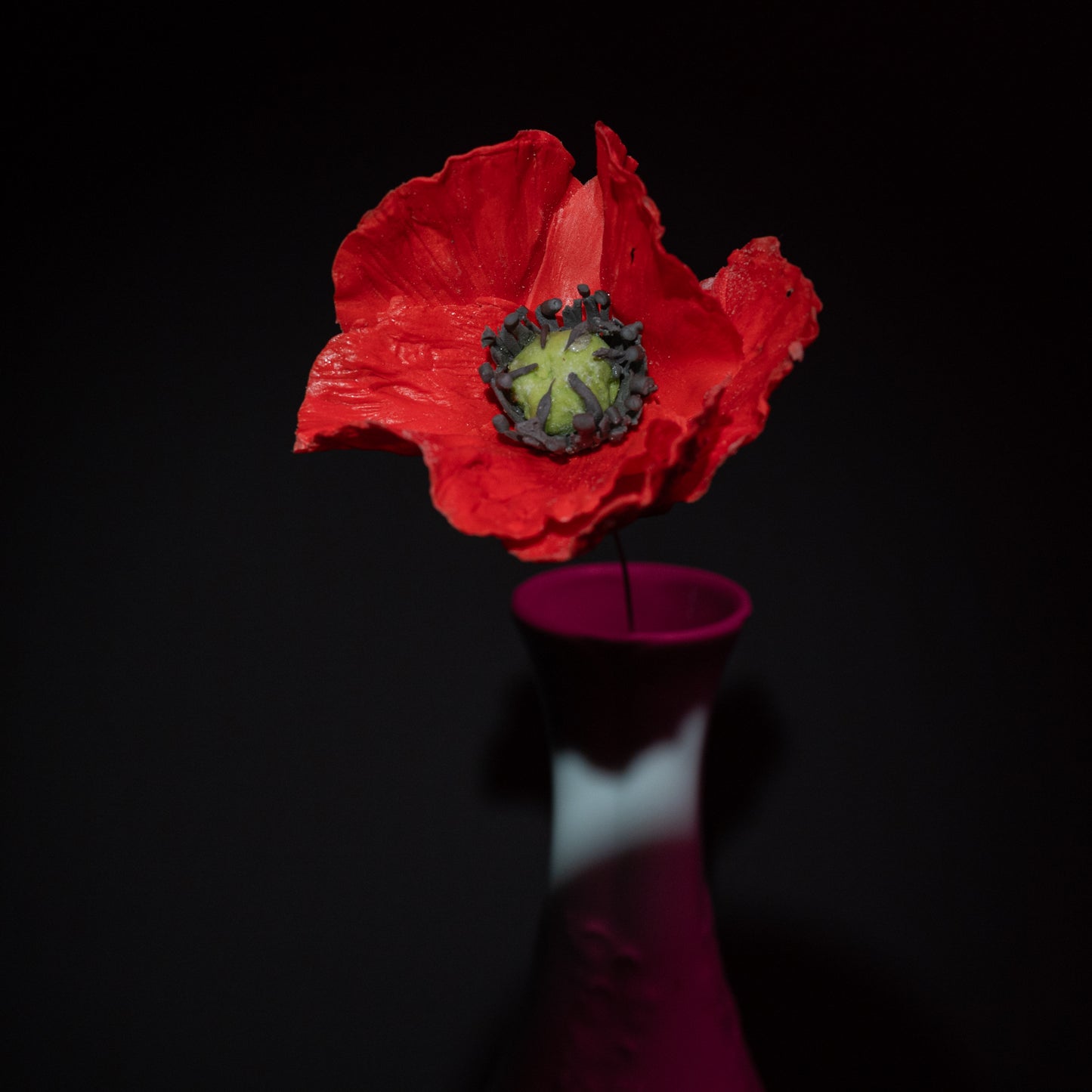 Coquelicot