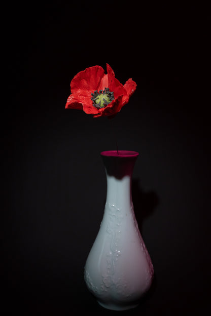 Coquelicot