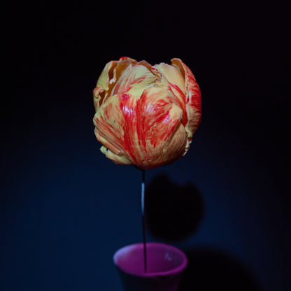 Tulipe