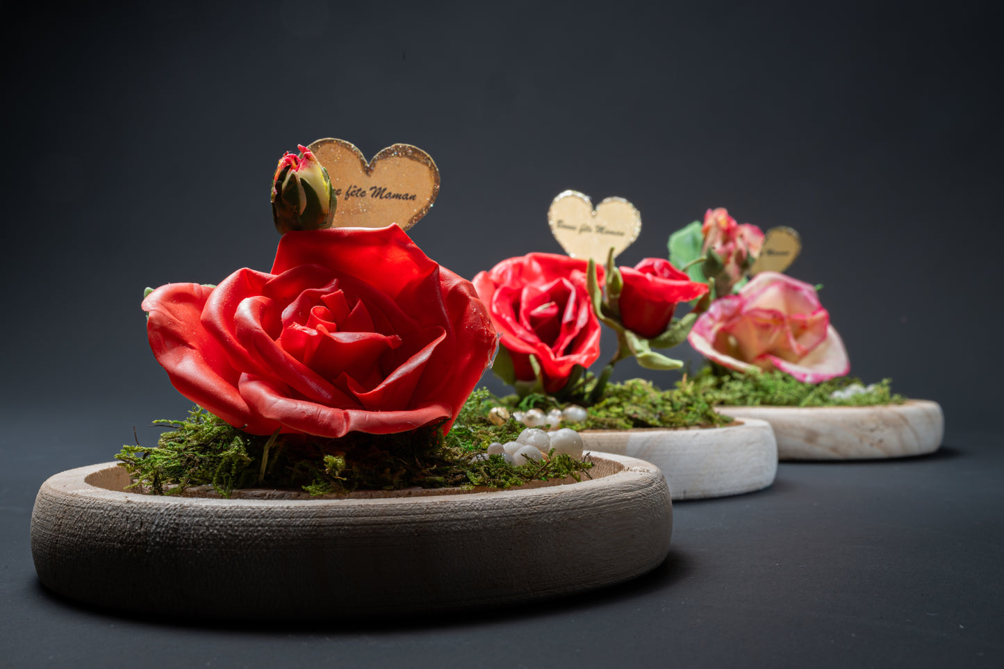Rose avec bouton sous cloche