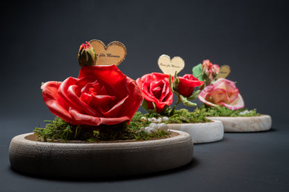 Rose avec bouton sous cloche