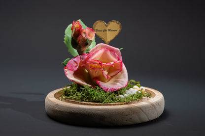 Rose avec bouton sous cloche
