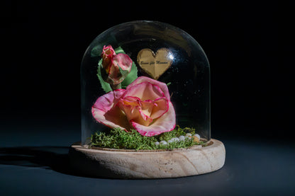 Rose avec bouton sous cloche