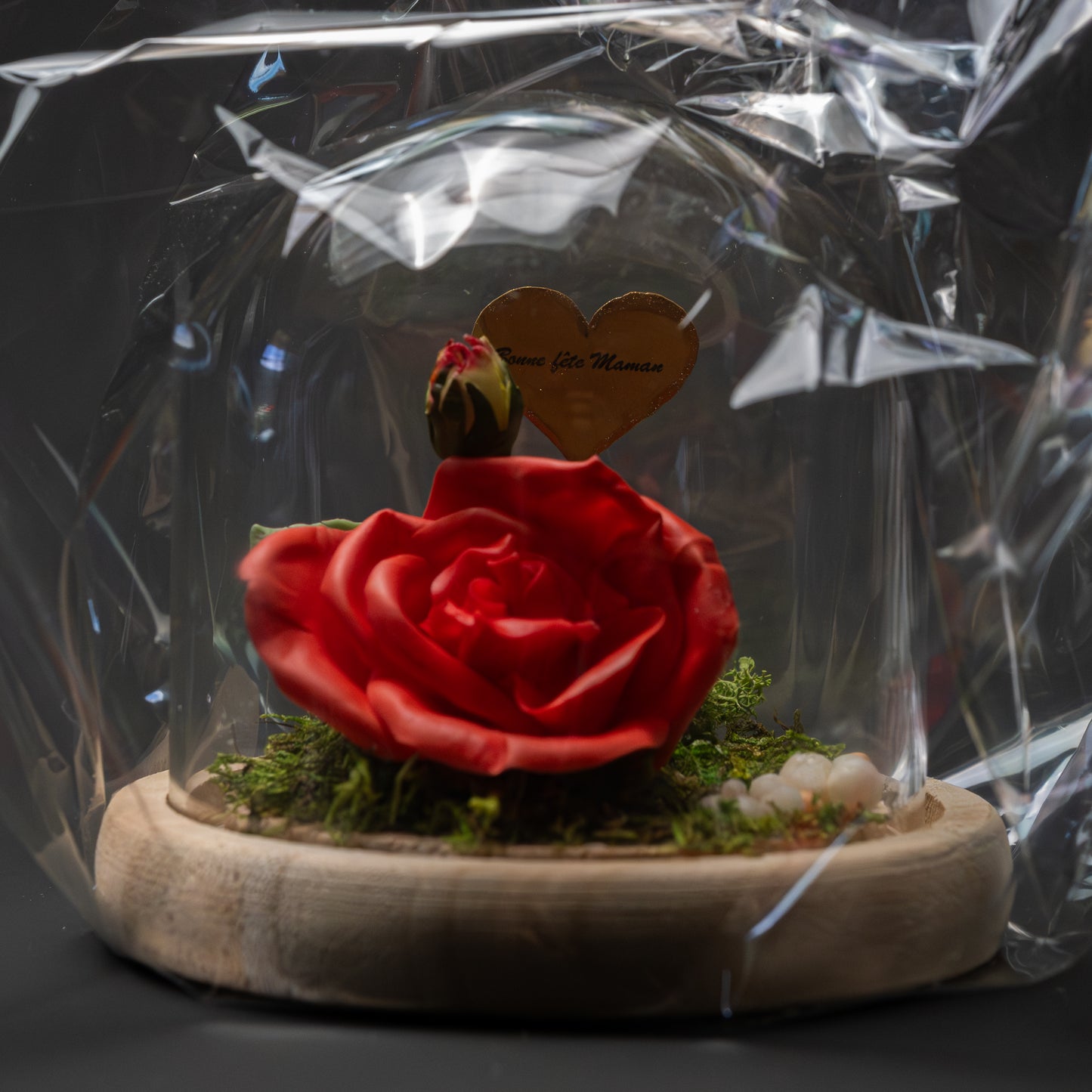 Rose avec bouton sous cloche